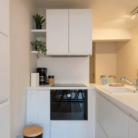 Modern With Large Terrace Close To The Sea Ostend