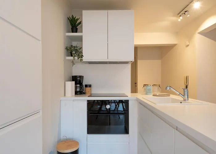 Modern With Large Terrace Close To The Sea Ostend