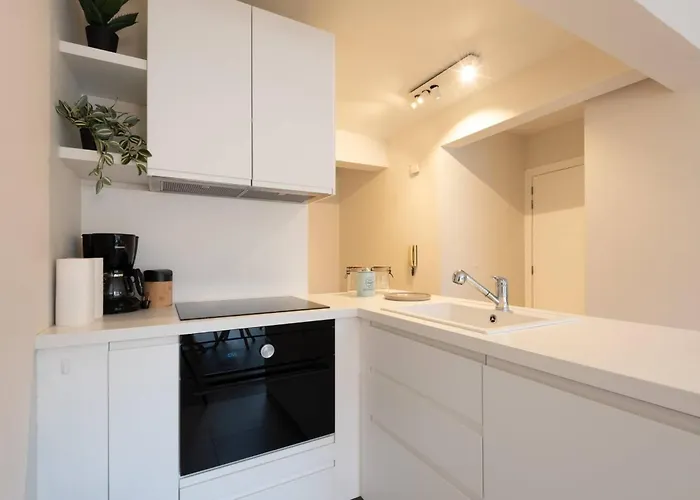 Appartement Modern With Large Terrace Close To The Sea