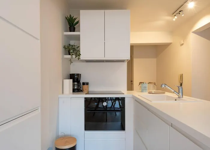 Modern With Large Terrace Close To The Sea Ostend